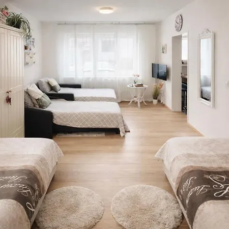 Messe Karlsruhe Apartamento *