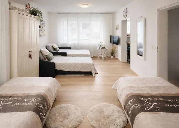 Messe Karlsruhe Appartement *